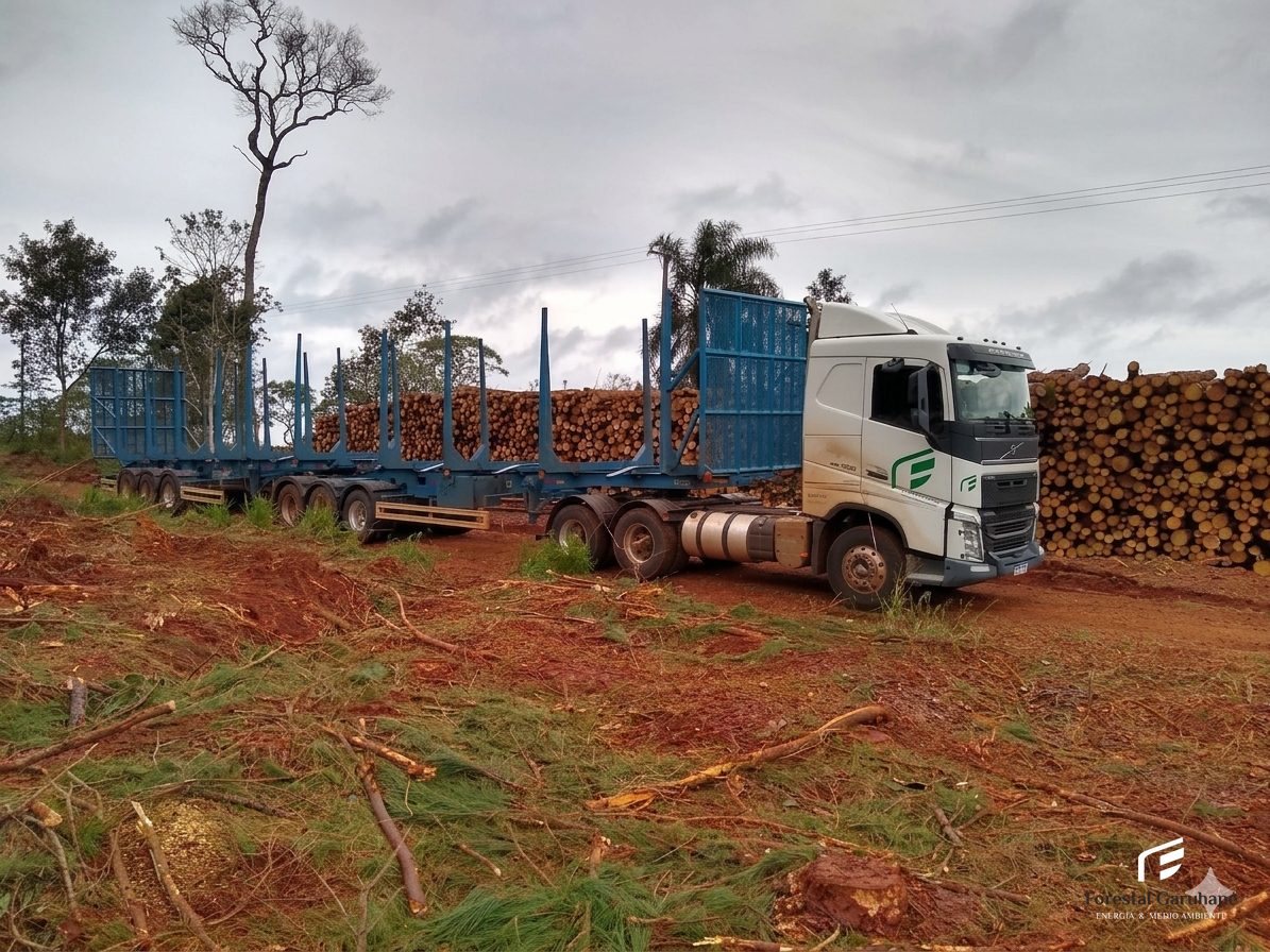 Transporte