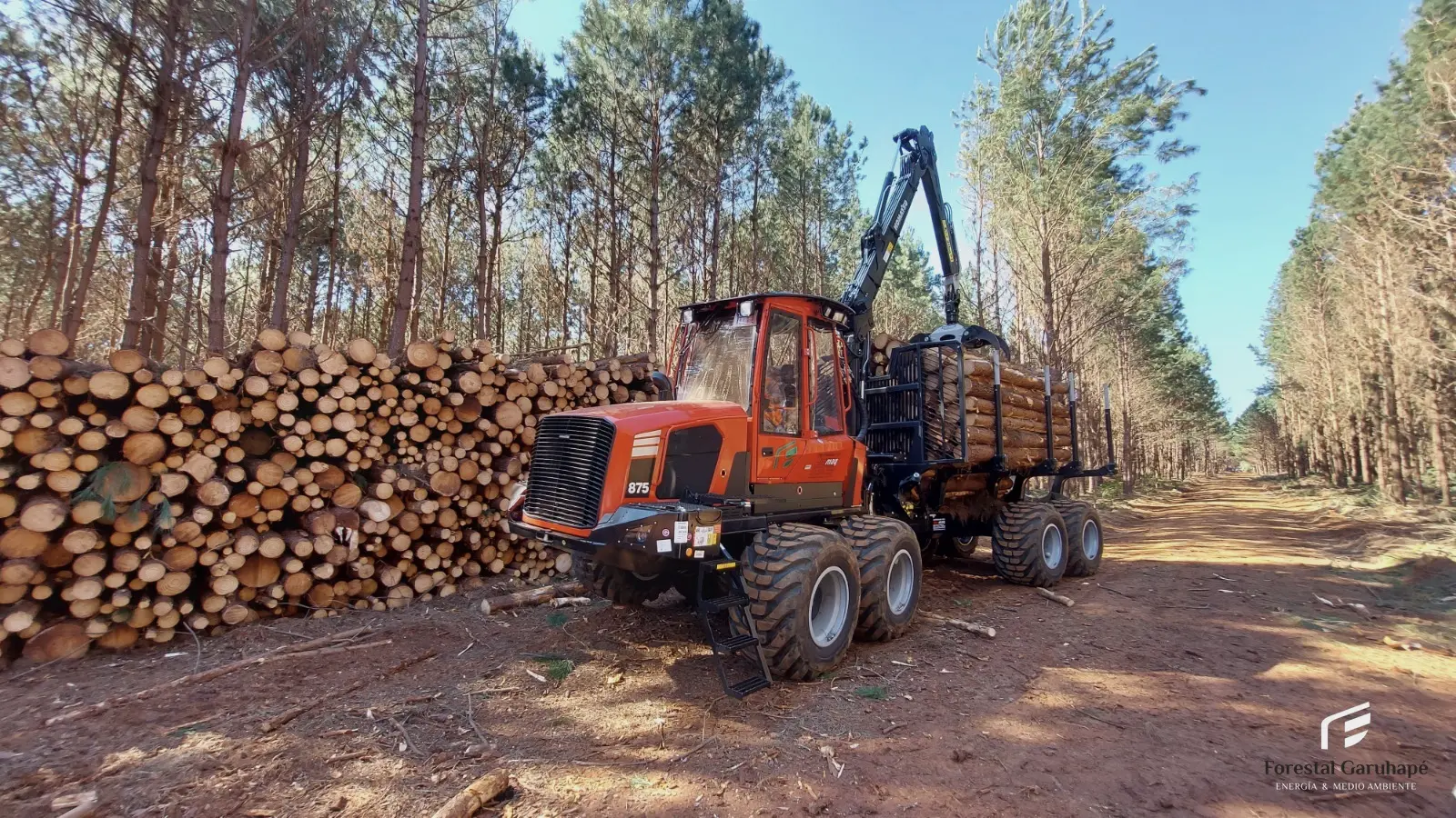 Extracción de madera