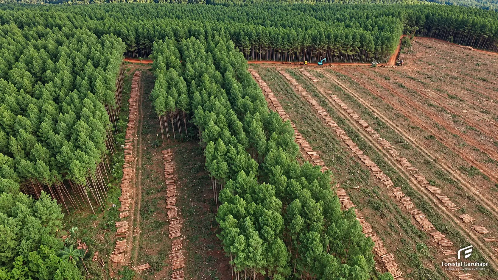 Vista aérea de plantaciones y paisaje forestal