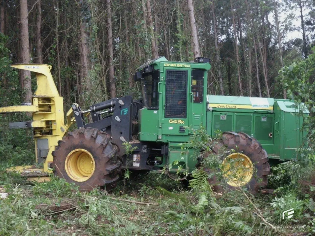 Feller Buncher 643