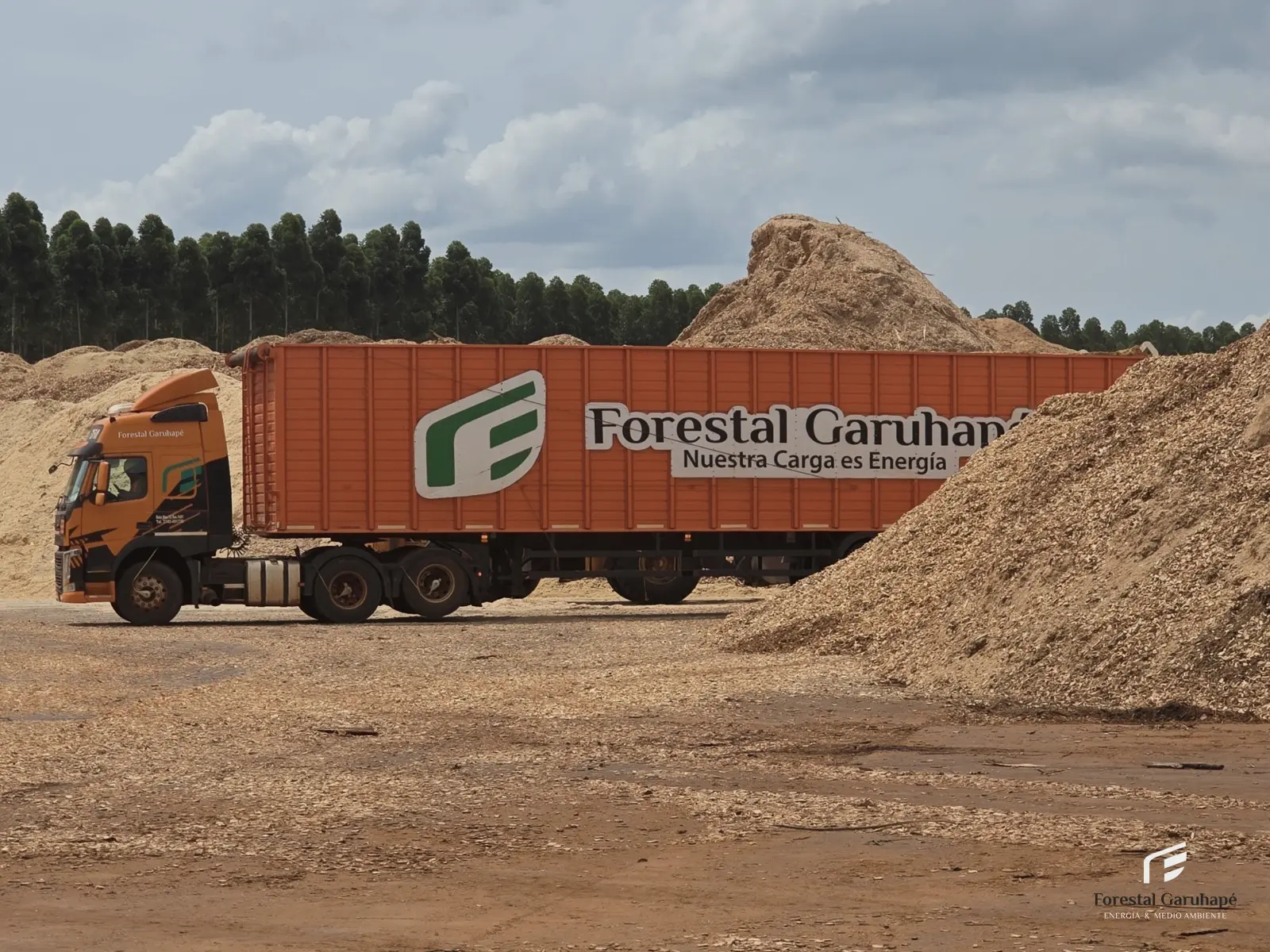 Transporte de chips
