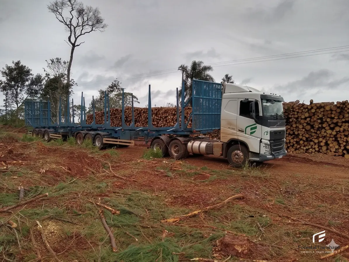 Flota de transporte forestal